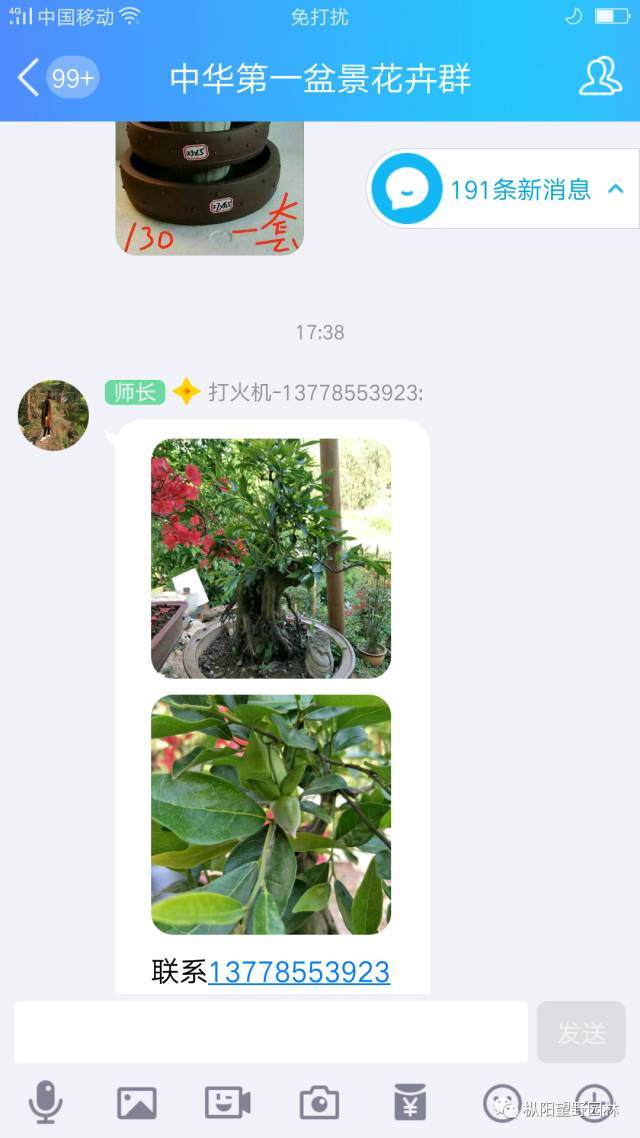 如何理解网络盆景群营销?【多图】