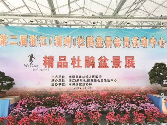 双林第二届精品杜鹃盆景艺术展落幕【图】