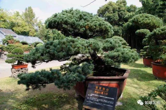 全省105个农业特色小镇名录出炉，如城盆景创意小镇入围！