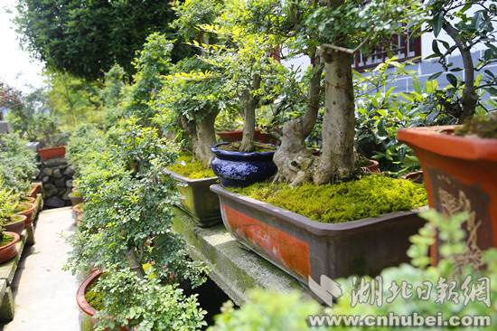 _MG_6377_副本.jpg _MG_6377_副本.jpg