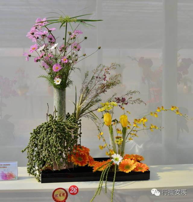 泉州市第二届艺术插花盆景比赛作品