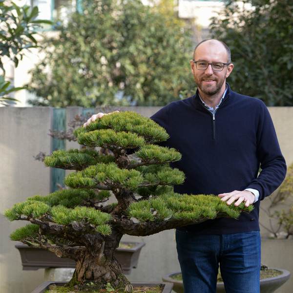 看老外如何玩转中国盆景?【多图】