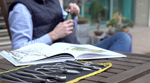 看老外如何玩转中国盆景?【多图】