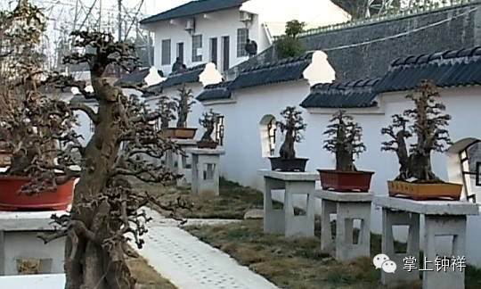 钟祥盆景协会投资二千多万元打造的钟祥盆景园【图】