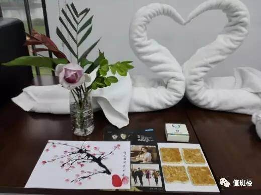 室内盆景 优美值班楼环境带来美好工作心情