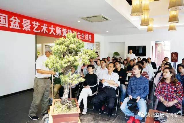 工笔美学融入自然盆景制作 追求极致之美多图