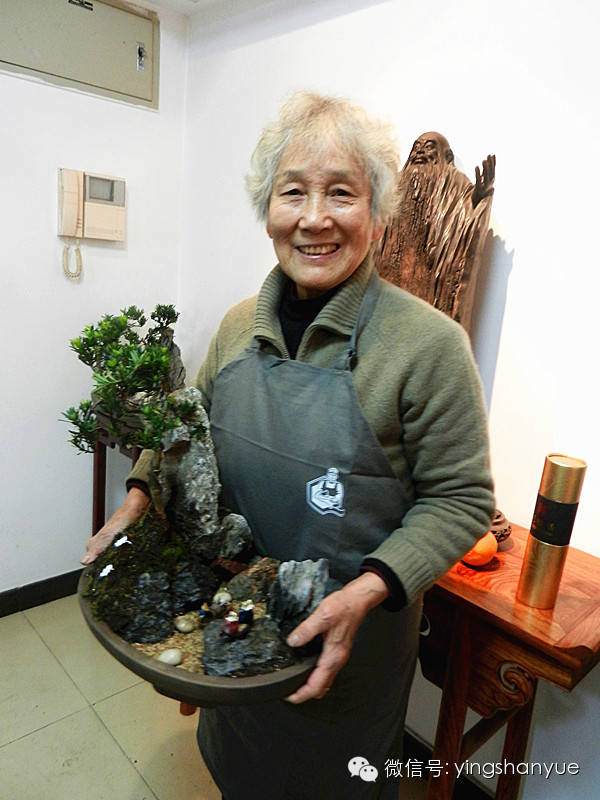 祝贺意境盆景艺术体验活动圆满成功【多图】