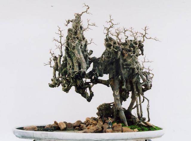 合肥拟建多处街头游园和盆景式节点【图】