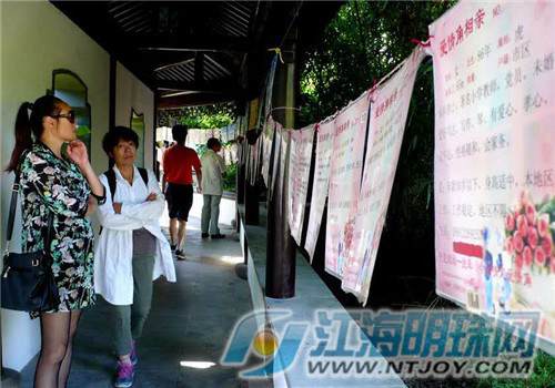 南通盆景园爱情角 父母扎堆为子女找对象