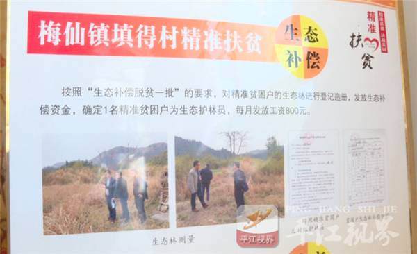 陈淡秋:依托盆景培植 筑梦迷迭香里【图解】