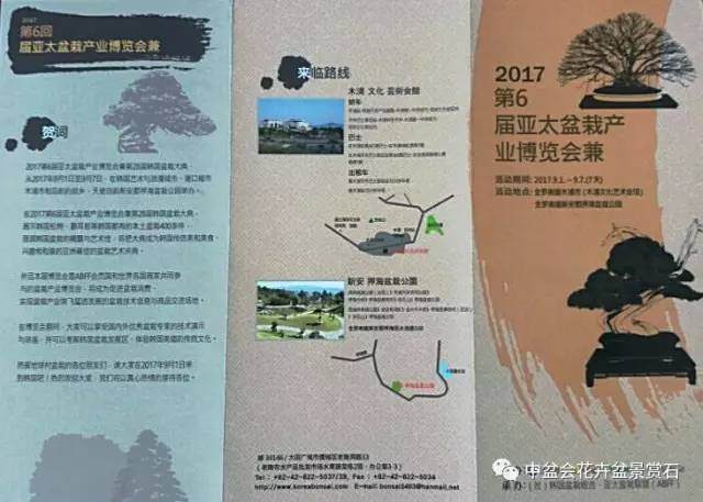 中韩盆景交流将掀开新的篇章【图解】