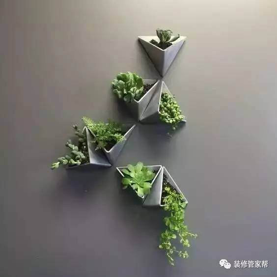 简单几招，让自家盆景变成&ldquo;别人家的风景&rdquo;【图解】