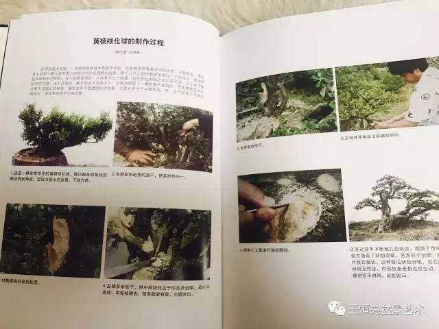 《王恒亮盆景国画艺术》由中国文联出版社出版 共200页