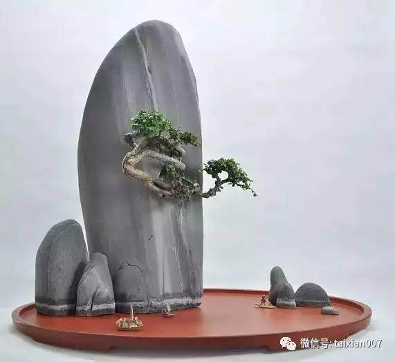 创意盆景与雅石赏析【图】