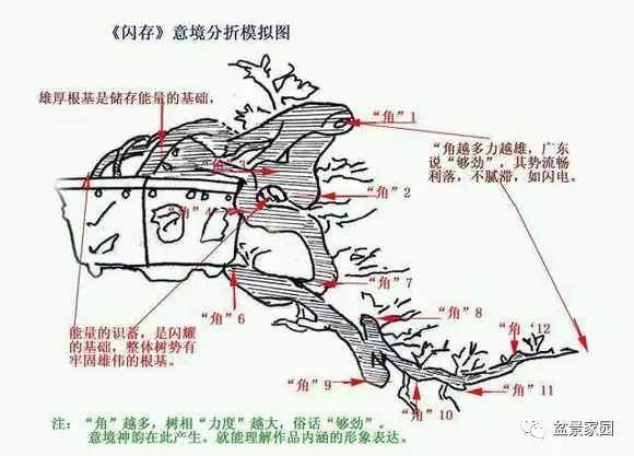 悬崖式盆景理解，懂得怎么做的道理，自己制作不再难