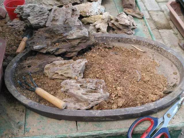 图解 巧用烂桩造制作水旱盆景的方法