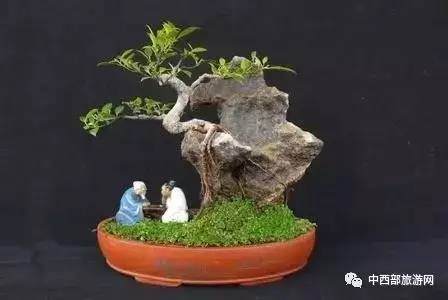 喜迎端午节,鹤壁市首届中原奇石盆景展精彩不容错过【图解】