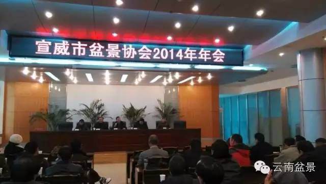 宣威盆景协会召开2014年年会【图】