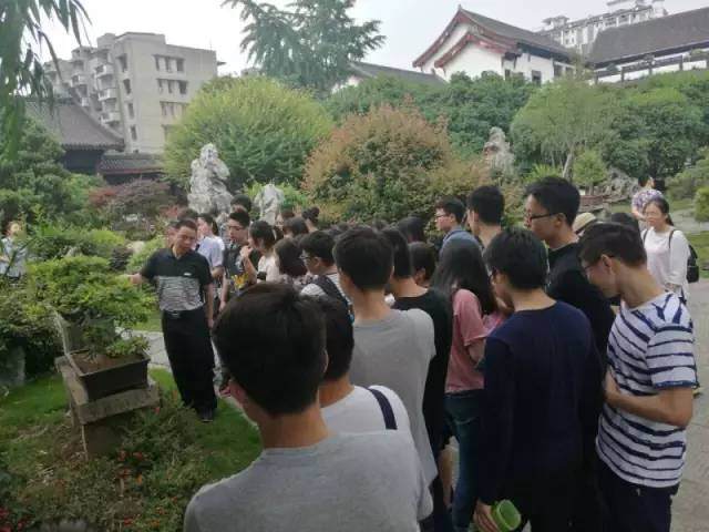 读书破万卷 不如到奇石馆听盆景专家一言 图片