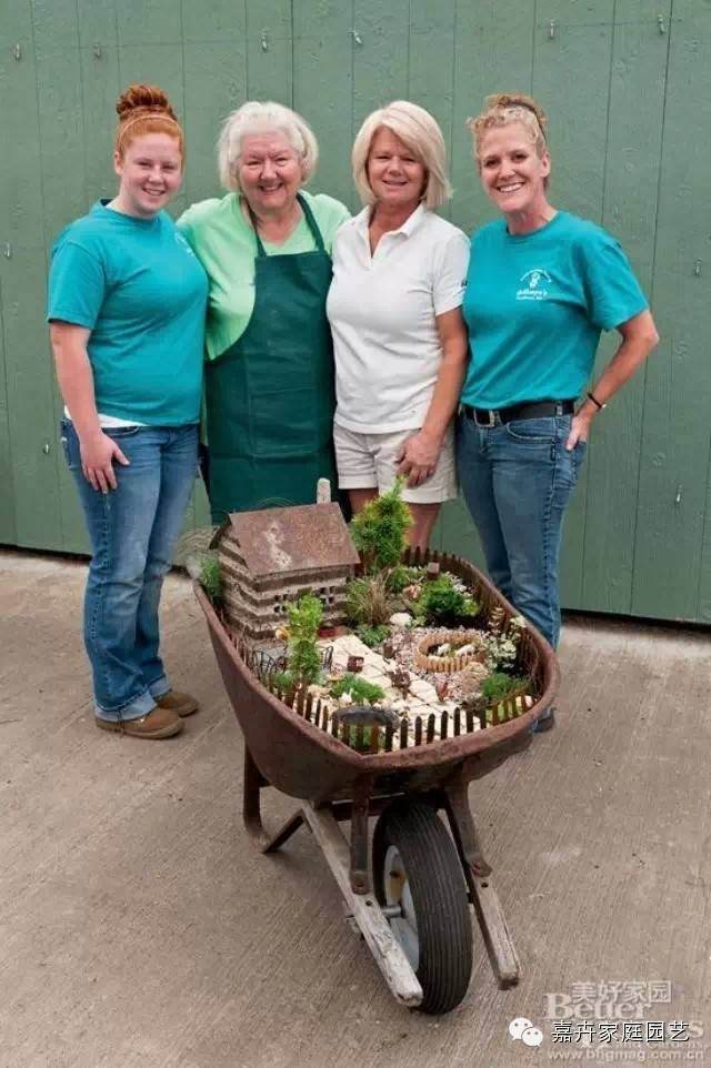 13步搞定移动盆景的制作【图解】