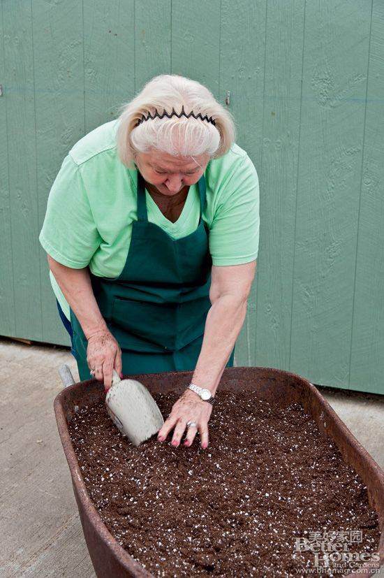 图解 老外13步搞定移动盆景的制作