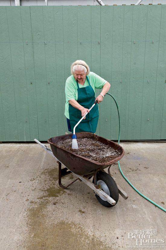 图解 老外13步搞定移动盆景的制作