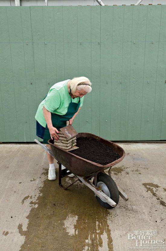 图解 老外13步搞定移动盆景的制作