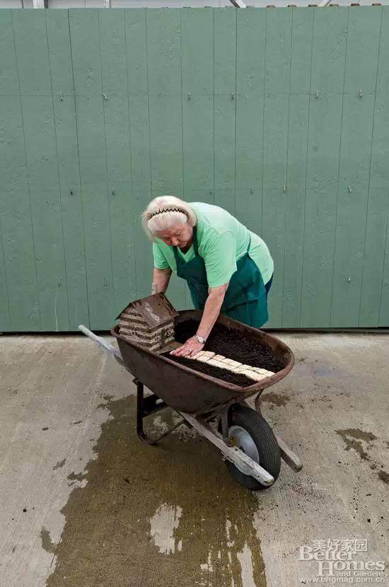 图解 老外13步搞定移动盆景的制作
