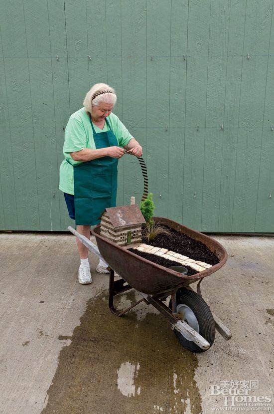 图解 老外13步搞定移动盆景的制作