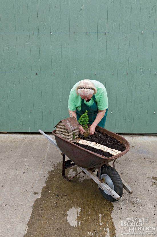 图解 老外13步搞定移动盆景的制作
