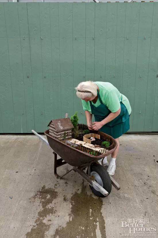 图解 老外13步搞定移动盆景的制作