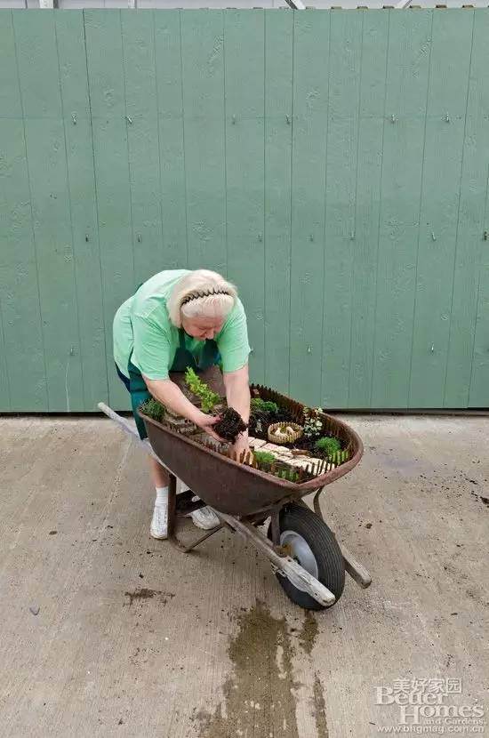 图解 老外13步搞定移动盆景的制作