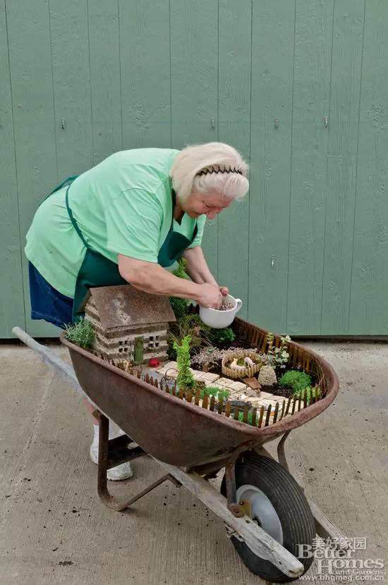 图解 老外13步搞定移动盆景的制作
