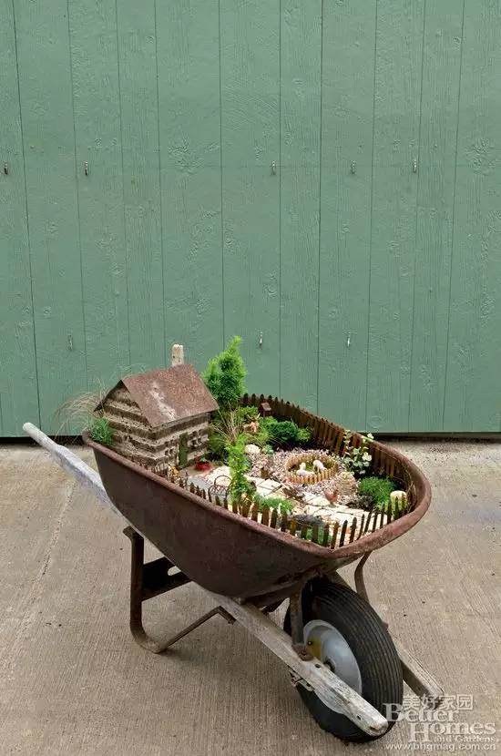 图解 老外13步搞定移动盆景的制作