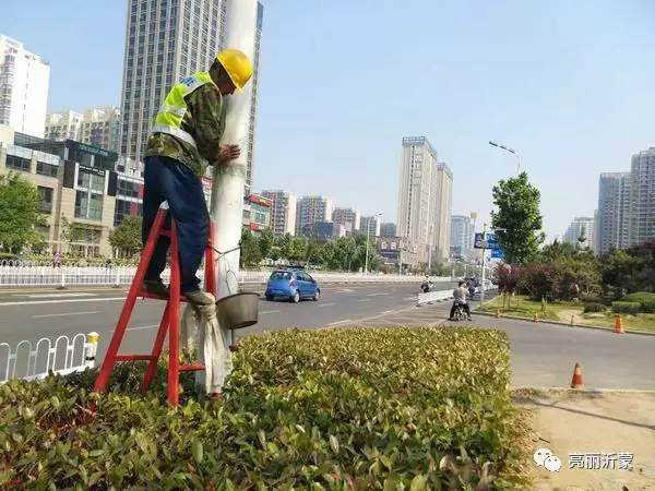 北京路设置的灯杆装饰盆景存在严重老化现象【图】