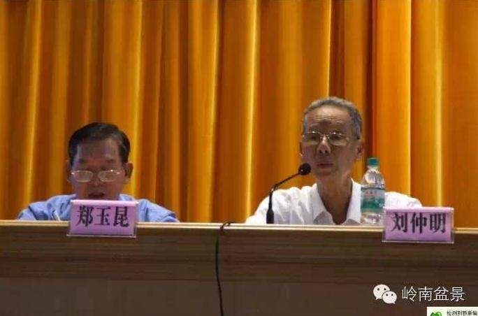 北海罗汉松盆景产业基地 经济效益巨大