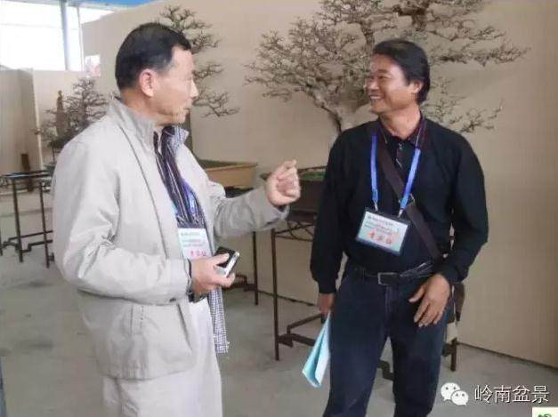 北海罗汉松盆景产业基地 经济效益巨大