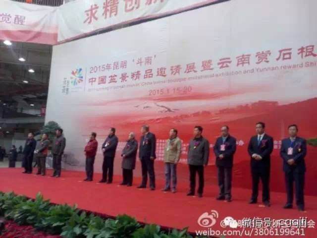 中国盆景精品邀请展&rdquo;在斗南盛大开幕【图】