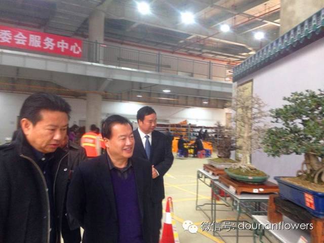 云南盆景协会副理事长--谢道乾【图】