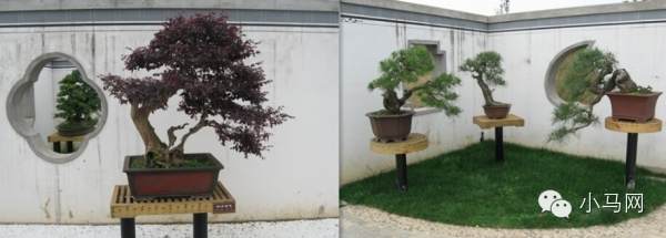 投资4亿的马鞍山徽州园林景区开园啦 3000多盆景来自世博园