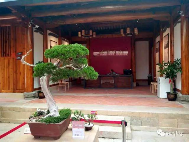 中国盆景创新的重大课题再次摆到盆景人面前【图】