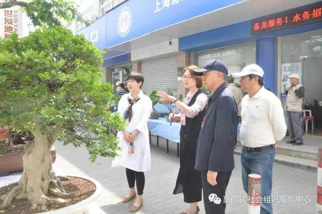 惠南盆景分会开展金枫杯大型盆景展【多图】