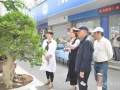 惠南盆景分会开展金枫杯大型盆景展多图