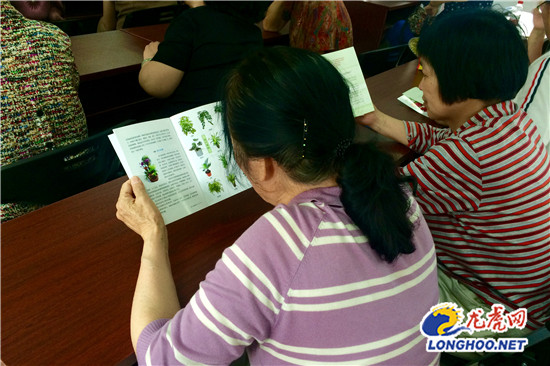 苏州绿化园林局花卉园艺进社区 现场表演盆景制作