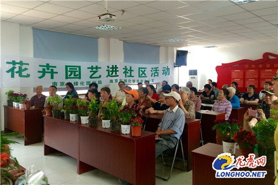 苏州绿化园林局花卉园艺进社区 现场表演盆景制作