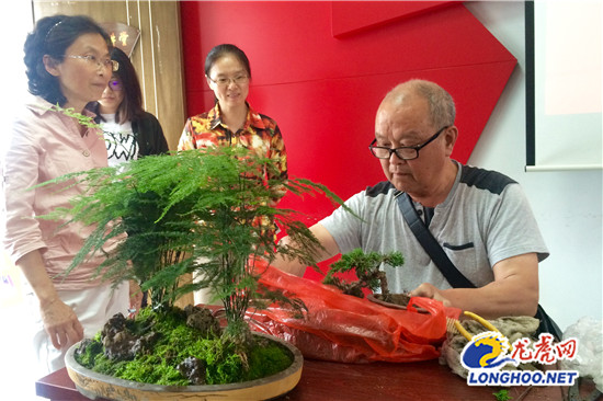 苏州绿化园林局花卉园艺进社区 现场表演盆景制作