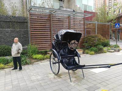 汉口中山大道枯萎花草换了新盆景【图】