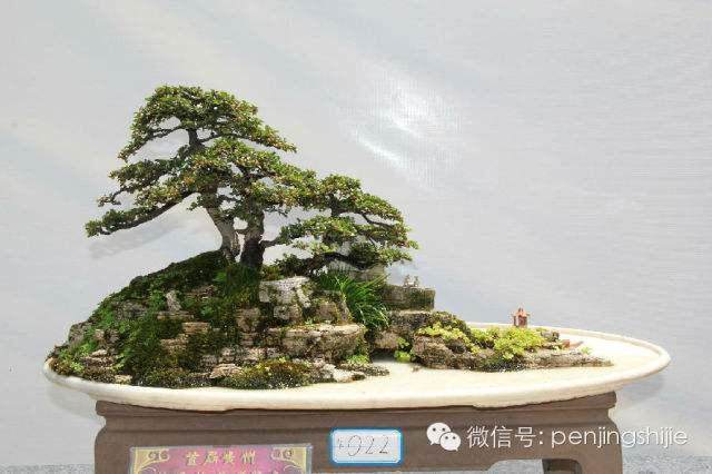 2017上海国际盆景主题展【图】