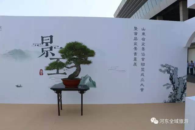 2017山东省盆景协会联盟成立大会在河东举行 图片