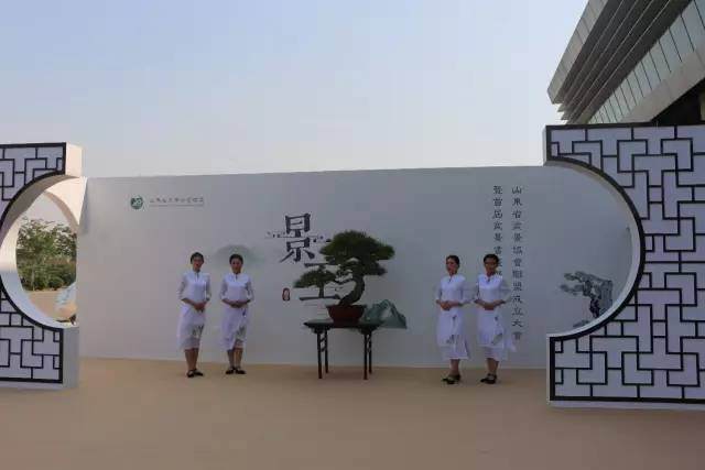 山东省暨首届盆景艺术书画展圆满启幕【图】